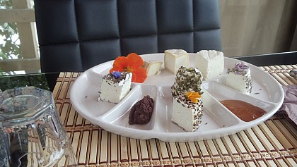 "Saveur caprine" Farm