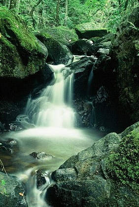 Gorges's Enval