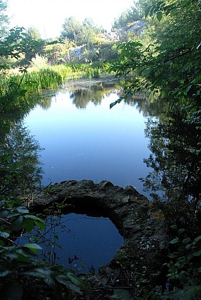 Sentier Botanique la Roselière