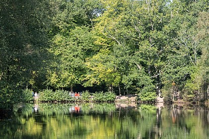 Le Miroir aux Fées