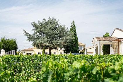 Château Haut-Brisson