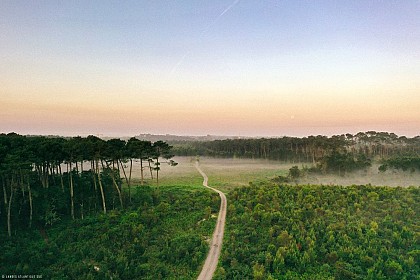 La forêt