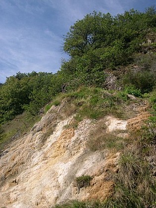 Salt springs of Saurier