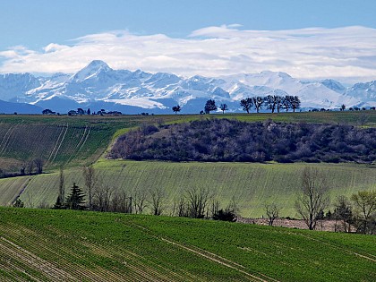 Point de vue sur les Pyrénées