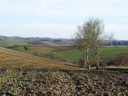 Point de vue sur la campagne Lauragaise