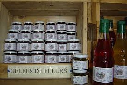 Bienvenue à la ferme !