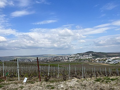 Point de vue - Chemin de ceinture
