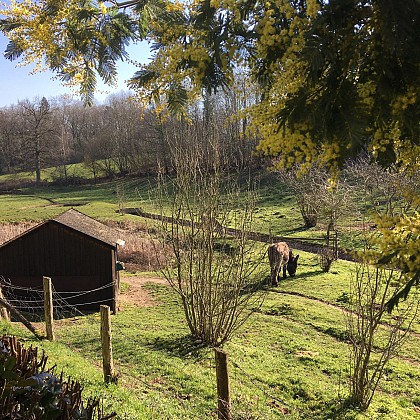 Maison d'hôtes les Terrasses de Chantarel