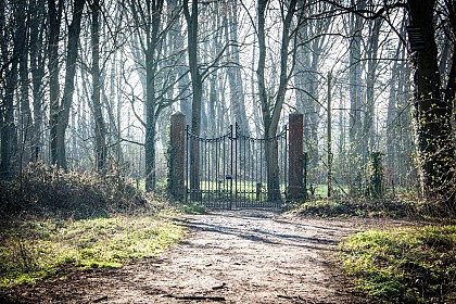 Bois de Warwamme