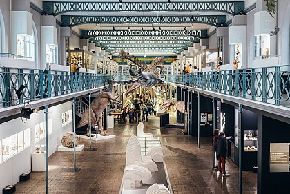 Natural History Museum in Lille