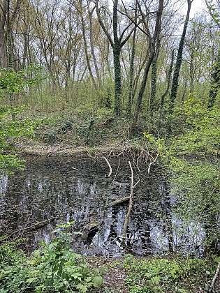 The Mound Quiquempois