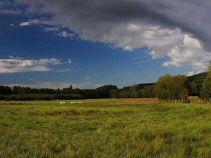 Vallée et marais de Bretoncelles