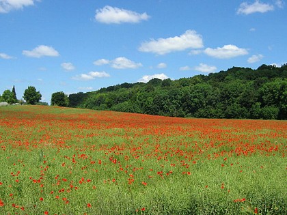Aire naturelle de camping - Le Bocage