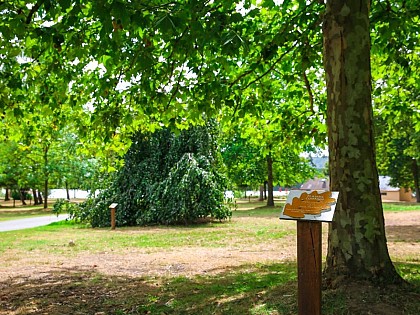 Arboretum de la Base de Loisirs de Jumièges