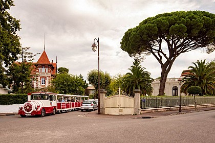 Le P'tit train d'Arcachon