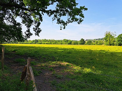 Le marais de la Touques