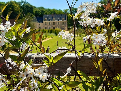 Renaissance(s] du jardin de Ronsard