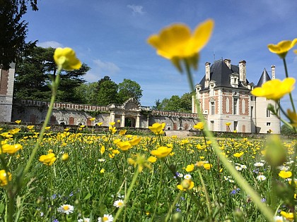 Visite découverte de Selles-sur-Cher