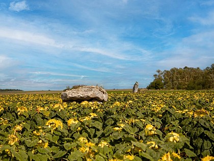 Les mégalithes