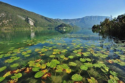 Regional natural reserve of Lac d'Aiguebelette