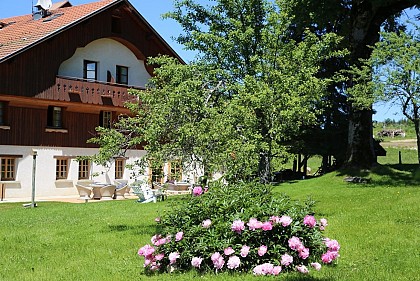 Hôtel - Le Tillau
