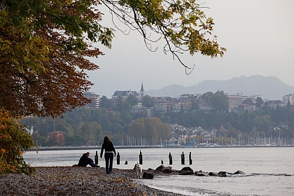 Beach "la Pinède"