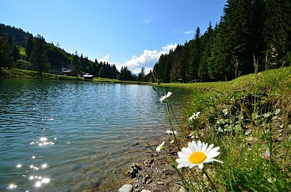 Fishing at Plan dessert lake