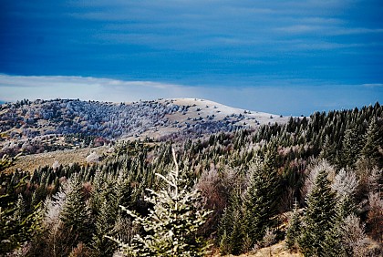 Montagne de Lure