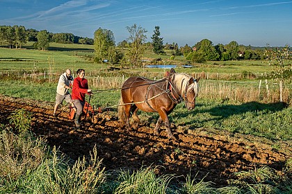 La Ferme de Tourenne