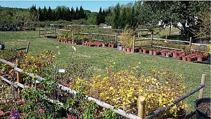 Les Jardins de Garrigue