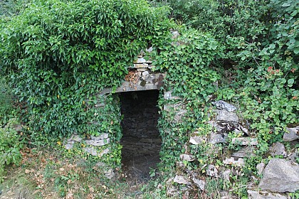 Cadole 7