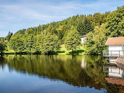 L'ÉTANG DE NOIR RUPT - POND