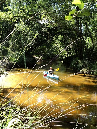 Ici, la rivière semble être juste née