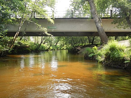Le pont de Cantegrit