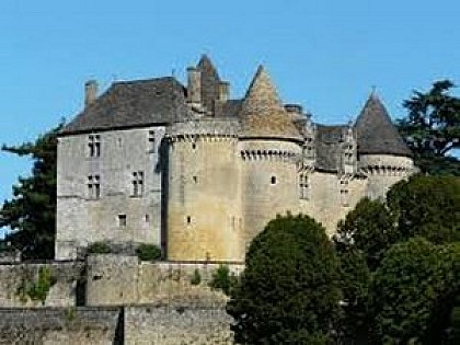 Château de Fenelon