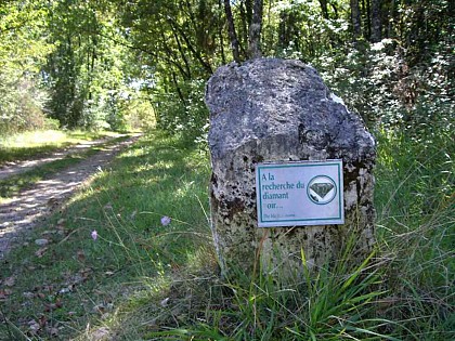 La faune et la flore