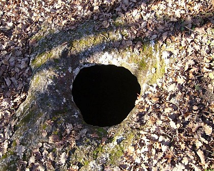 Cluzeau de Borie Belet