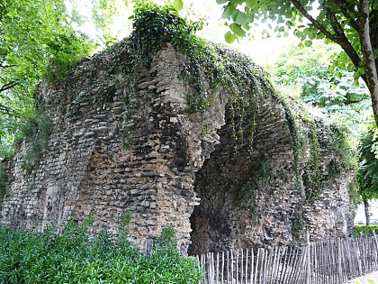 les arènes