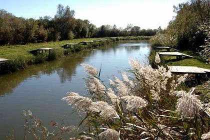 Canal latéral et marais