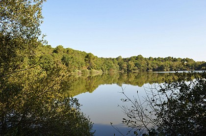 Lagune de Contaut