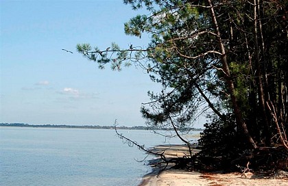 Lac de Lacanau