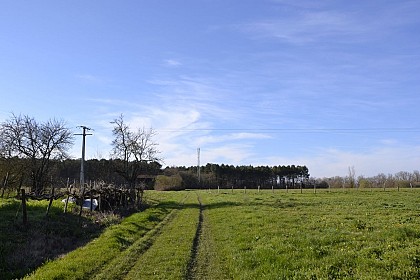 Campagne