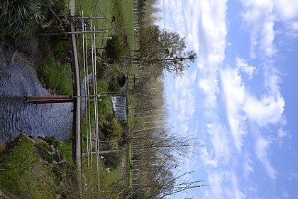 La Bassanne 2