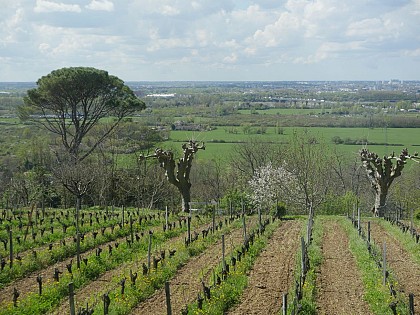 Belvédère de Bouliac