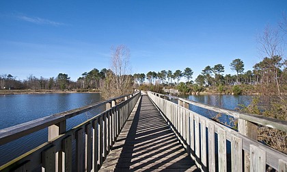 Le bois des sources du Peugue (détour)