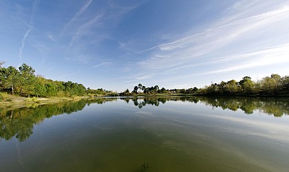 Le bassin de cap de bos