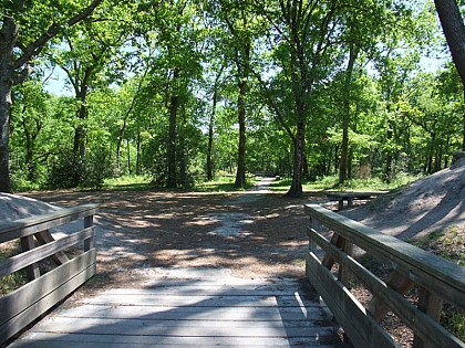 Forêt du Bourgailh