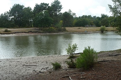 Le Peugue