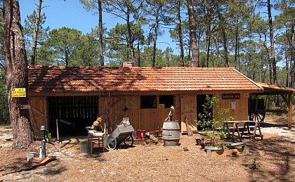 Cabane de résinier