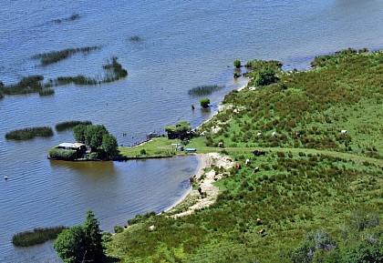 Point de vue sur le lac de Biscarrosse-parentis